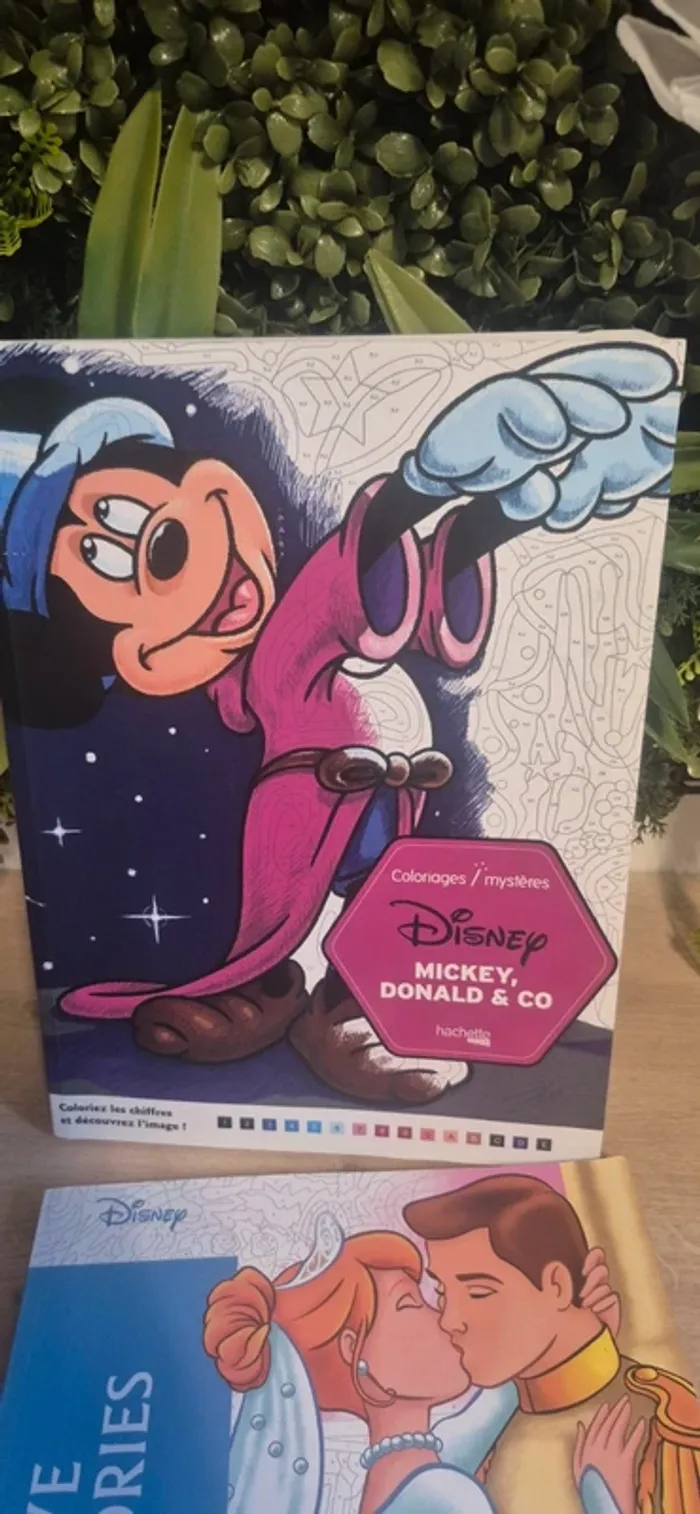 Livre coloriage magique disney - photo numéro 2