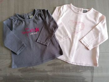Lot de 2 T. Shirts manches longues 9 mois