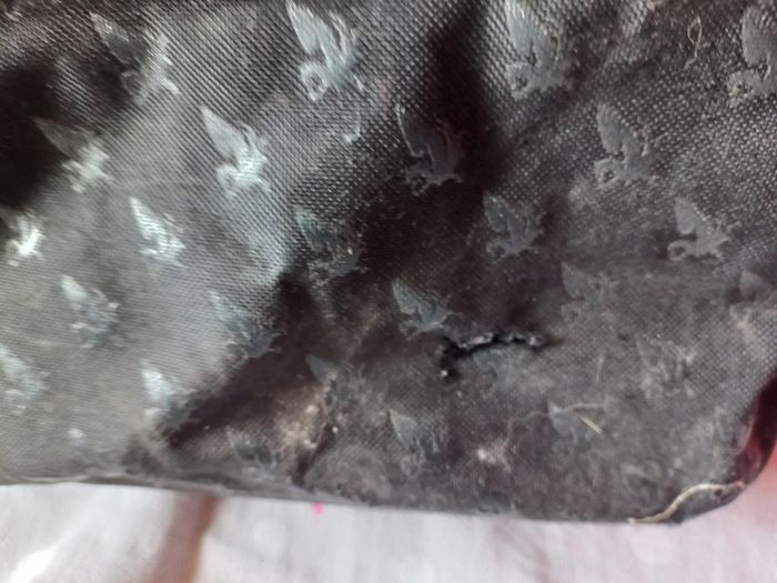 Sac à dos noir avec ailes brillante - photo numéro 6