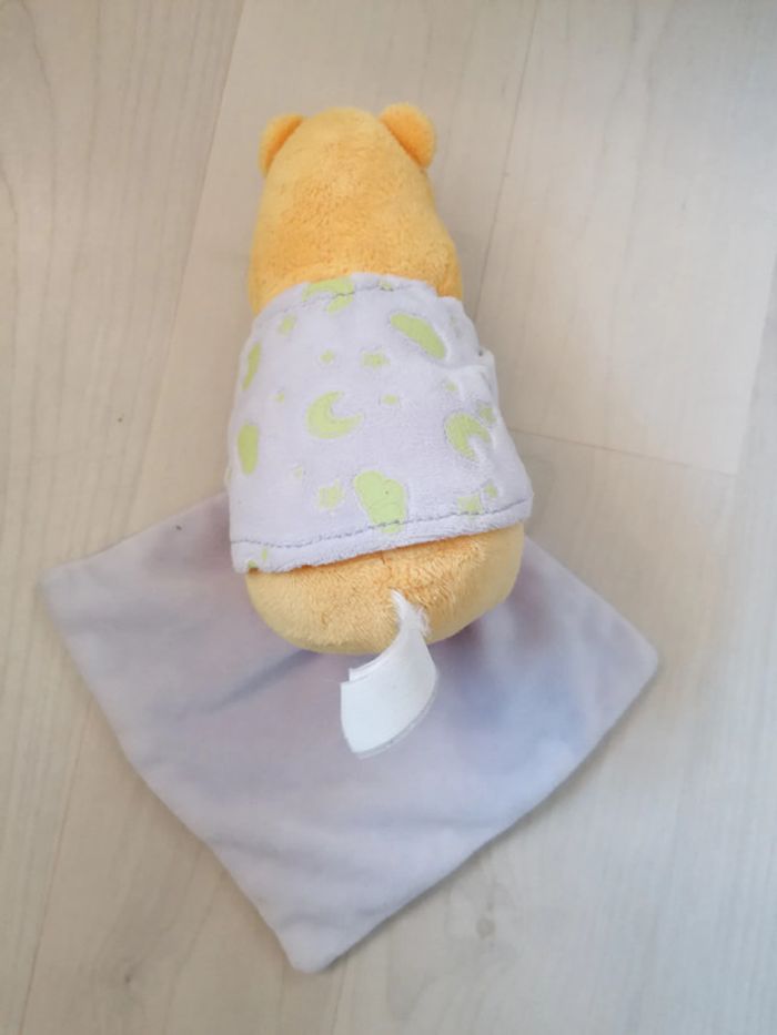 Winnie luminescent - photo numéro 2