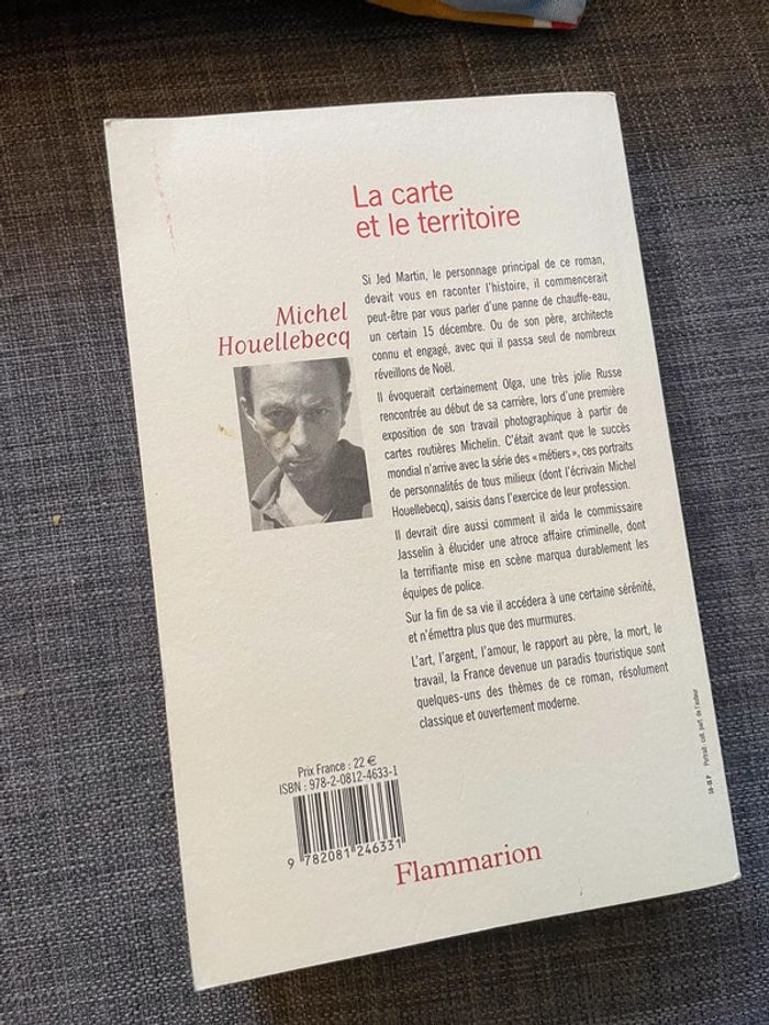 La carte et le territoire - photo numéro 3