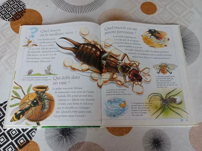 Livre Questions - Réponses 6/9 ans_ Insectes et autres petites bêtes / Édition : Nathan en bon état - photo numéro 13