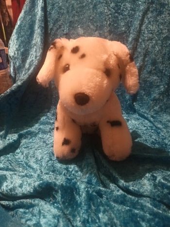 Chien bébé dalmatien