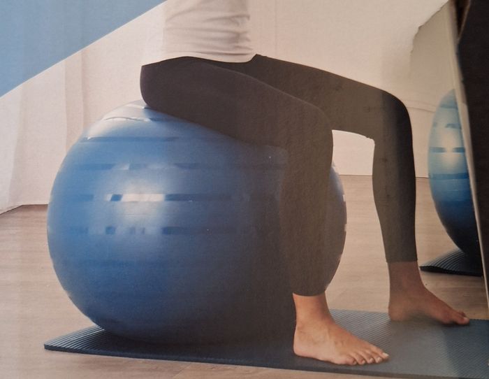 Ballon gym Ball 65cm - photo numéro 3