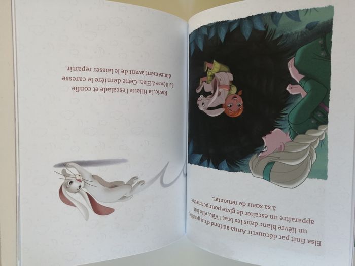 livre disney - photo numéro 7