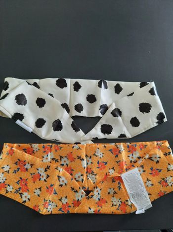 Set de 2 bandanas