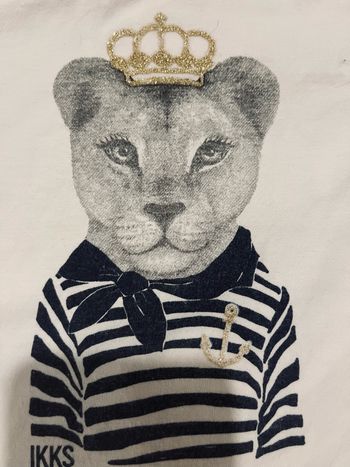Joli teeshirt ikks