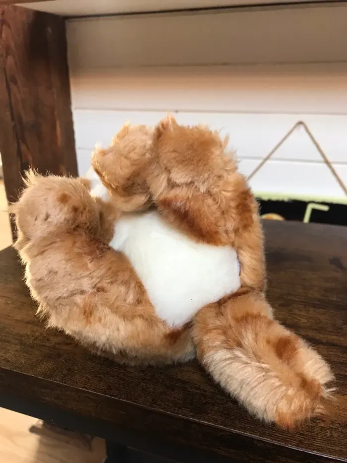 Peluche Chat chaton Roux et blanc en TBE - photo numéro 4