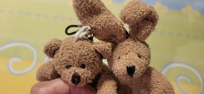duo de petites peluches