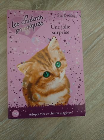 Livre Les chatons magiques