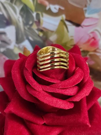 Bague avec ses rangs, acier inoxydable