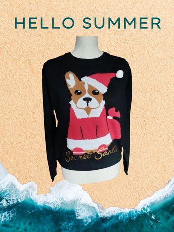 Pull femme 38