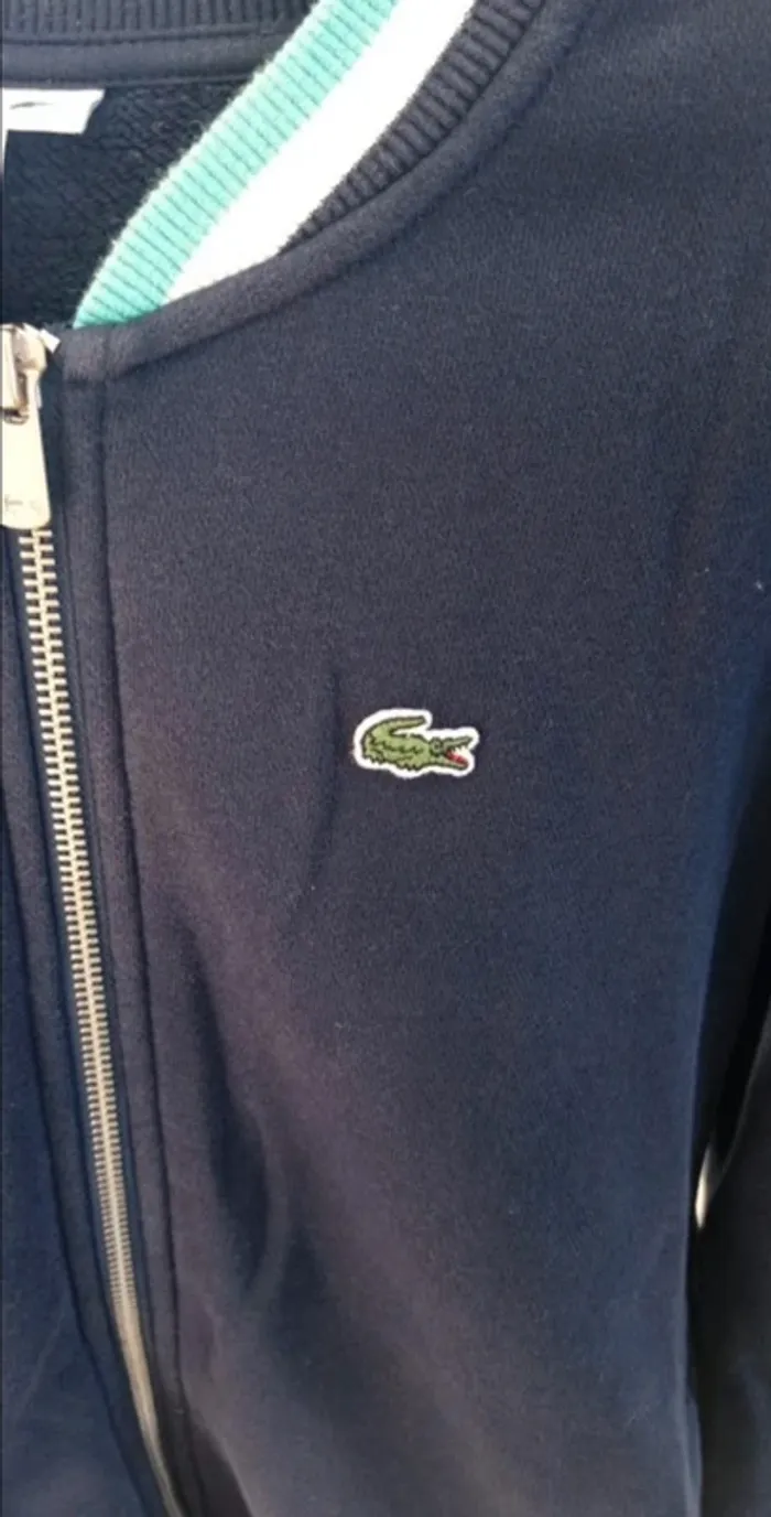 Veste zippée Lacoste garçon - Taille 12 ans - Très bon état - photo numéro 2