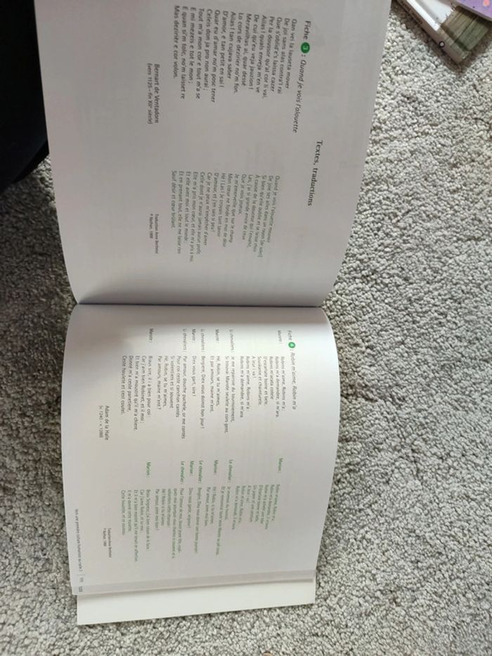 Musique dans l'histoire cycle 3 - photo numéro 16