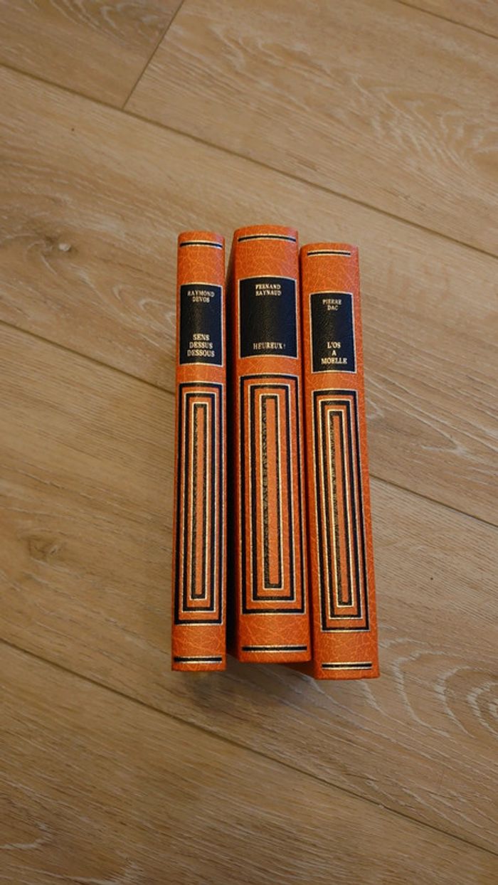 3 livres editions famot. Heureux  + L'os à moelle + Sens dessus dessous - photo numéro 2