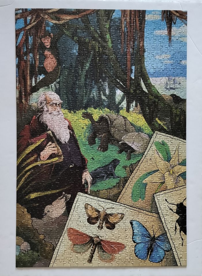 Puzzle 1000P Charles Darwin - Miraludo - photo numéro 3