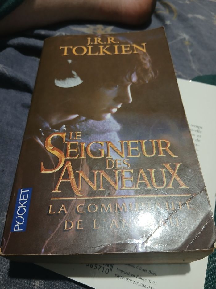 Livre le seigneur des anneaux