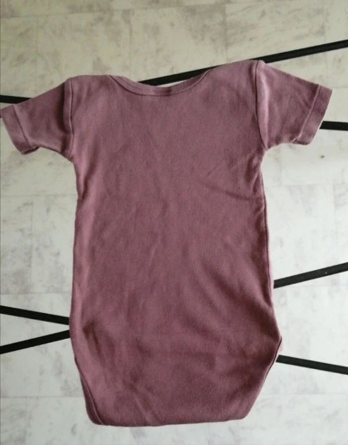 Bodie 6 mois - photo numéro 2