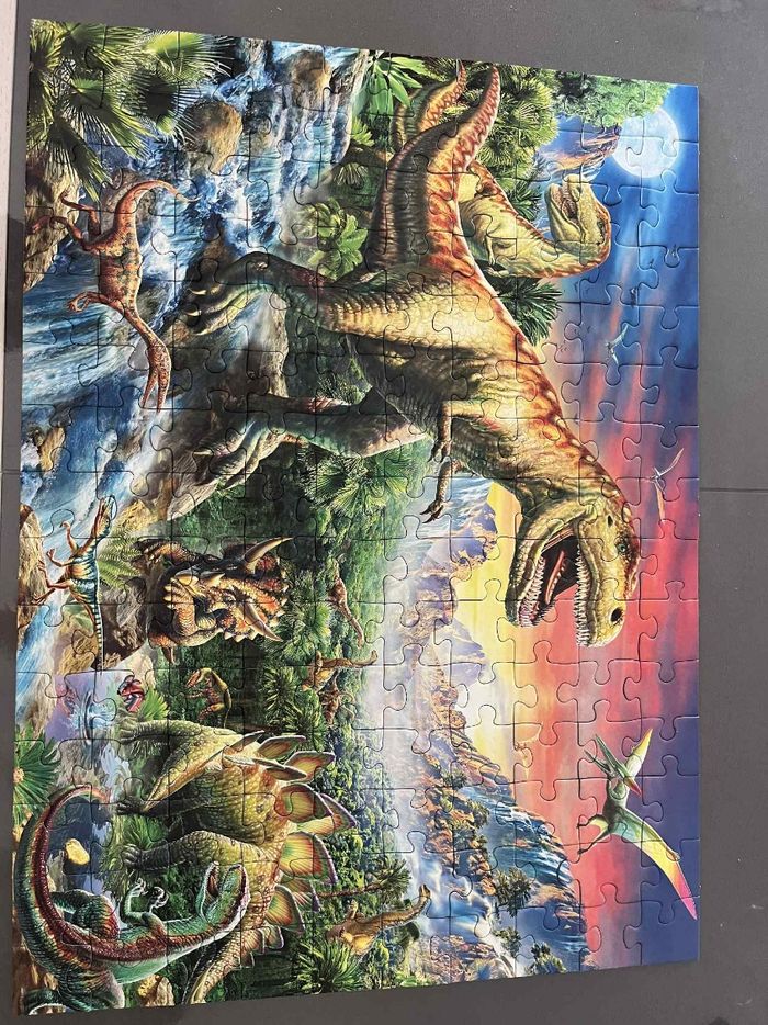 Puzzle dinosaures - photo numéro 3