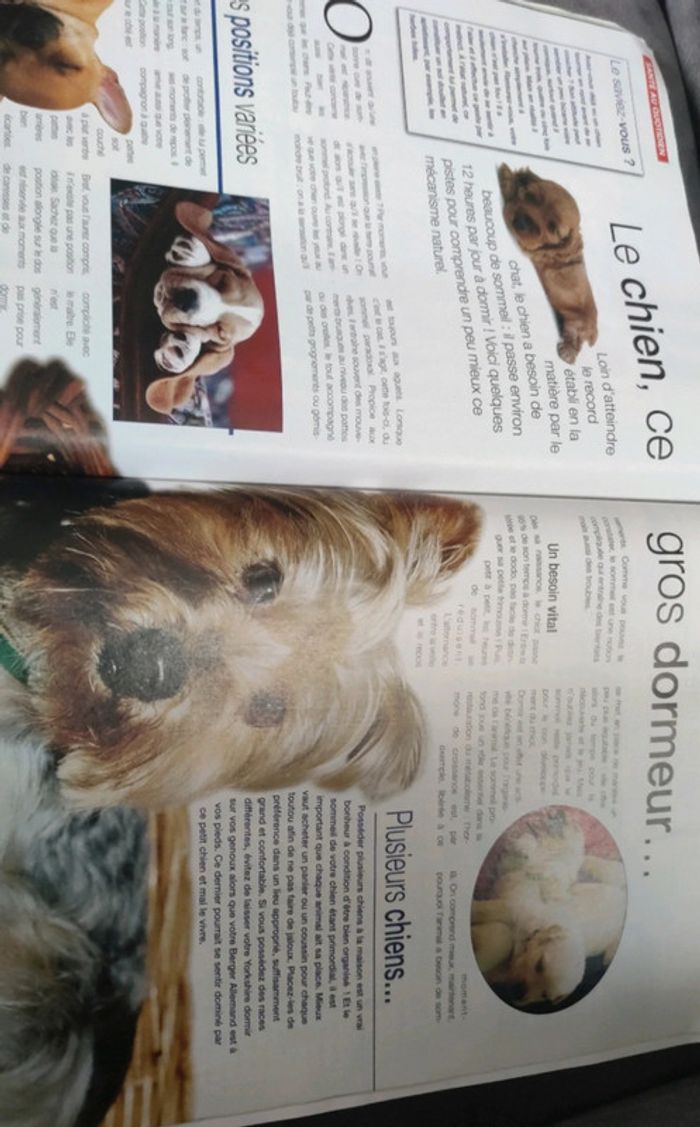 Magazine spécial chiens numéro 55 trimestriel - photo numéro 7