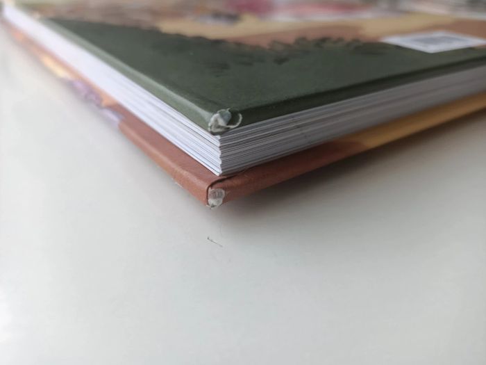 BD mémoires de Marie-Antoinette tome 1 Versailles - photo numéro 10