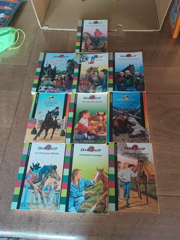 Gros lot grand galop