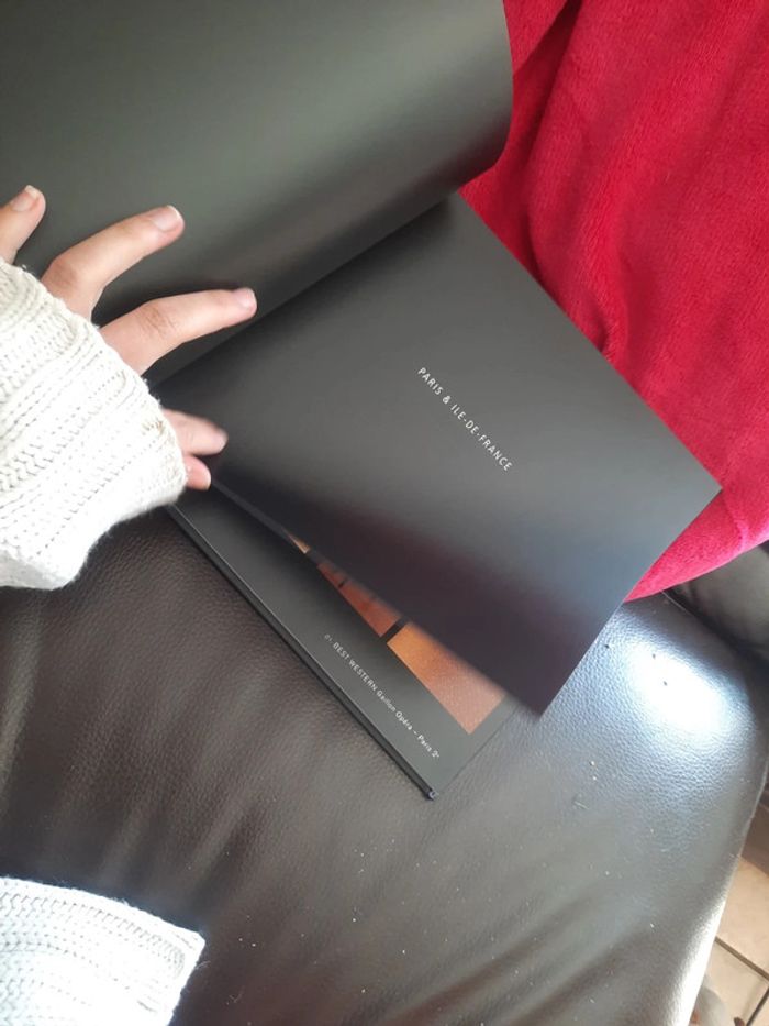 Livre hôtel au singulier p o - photo numéro 10