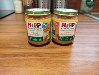 Lot de 2 petits pots pour bébé hipp bio