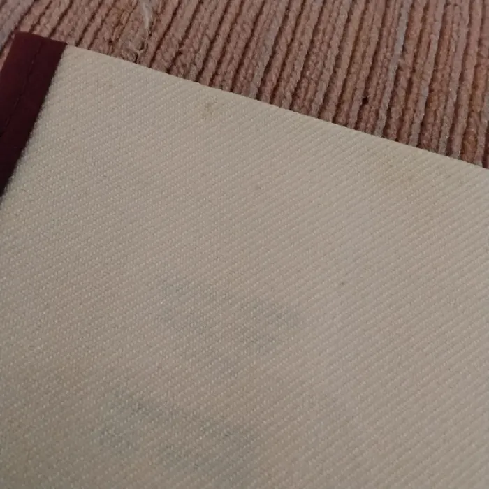 Pochette landes - photo numéro 8