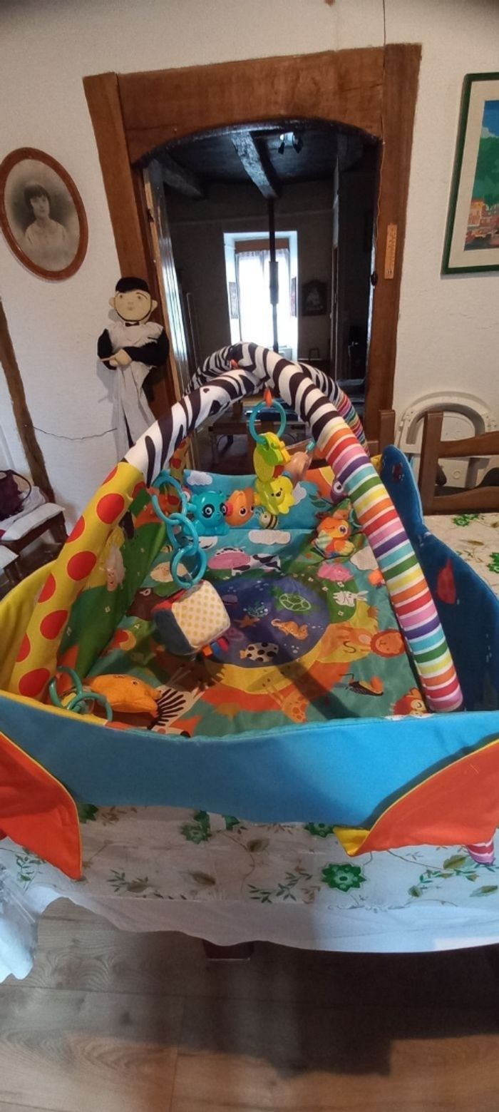 Tapis d'eveil - photo numéro 3