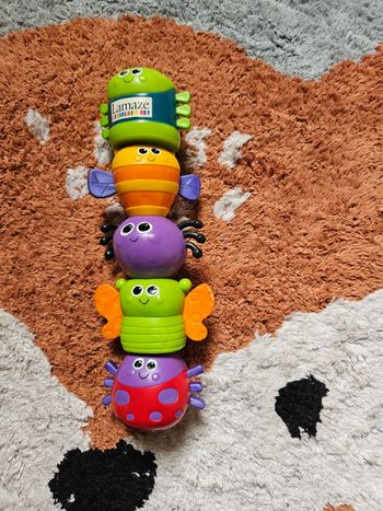 Lot de 5 insectes aimantés- Lamaze