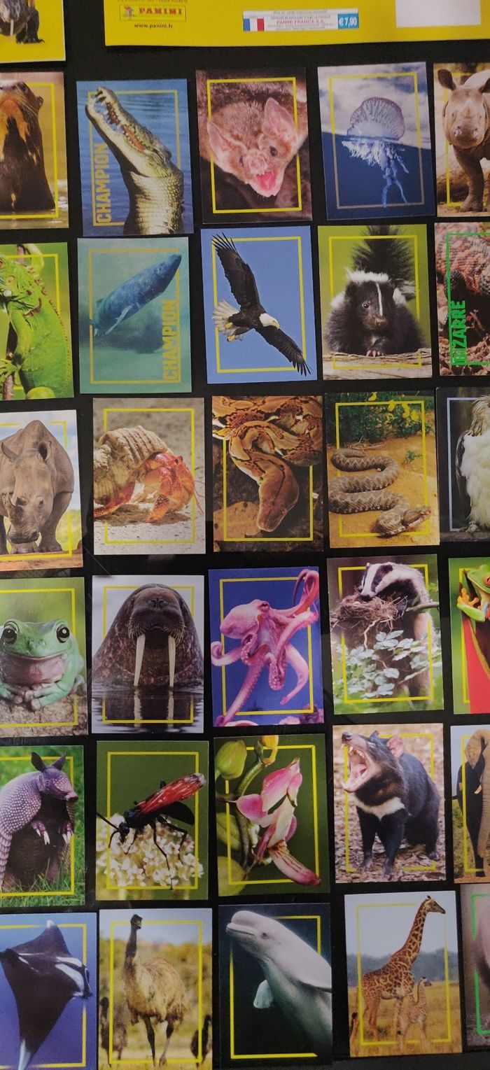 Lot classeur / album incroyables animaux + 64 cartes - photo numéro 3