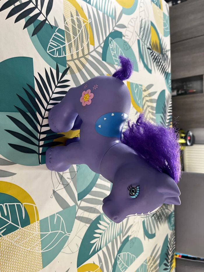 Grand poney