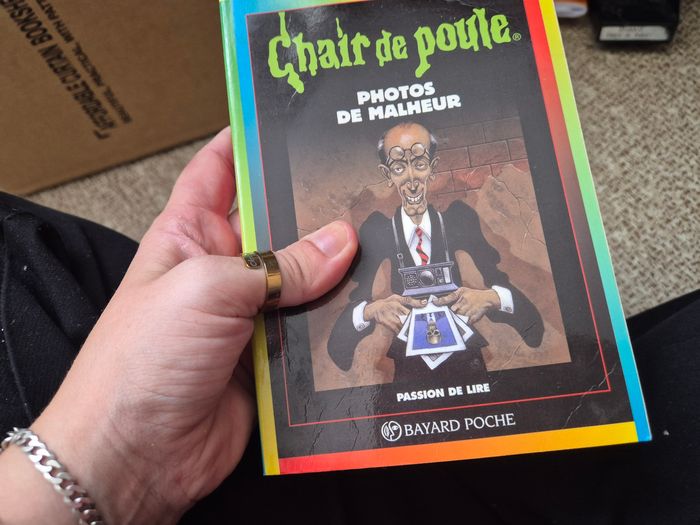 Gros lot livres chair de poule - photo numéro 4