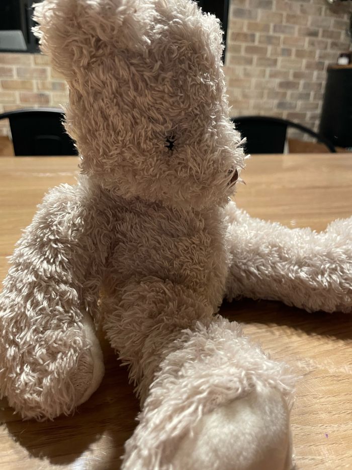 Ours en peluche - photo numéro 3