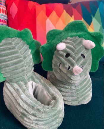 Chaussons dinosaures
