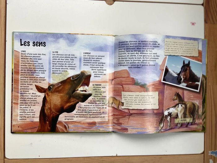 Livre Les chevaux - photo numéro 3