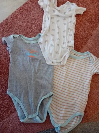 Lot de 3 bodies 24 mois