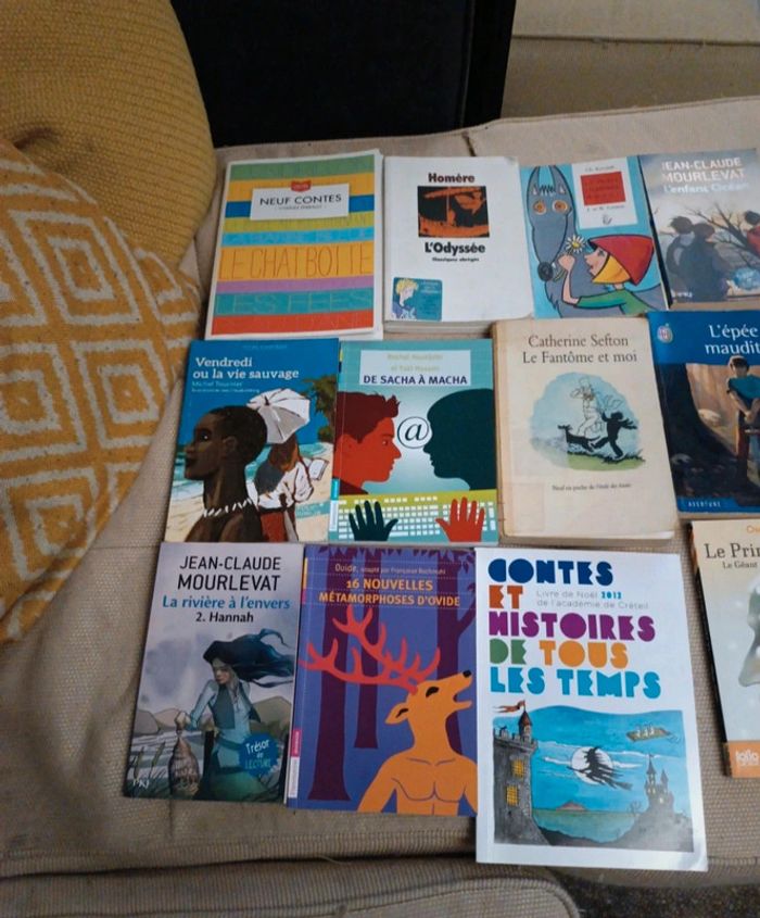 Lot de 12 romans jeunesse - photo numéro 2