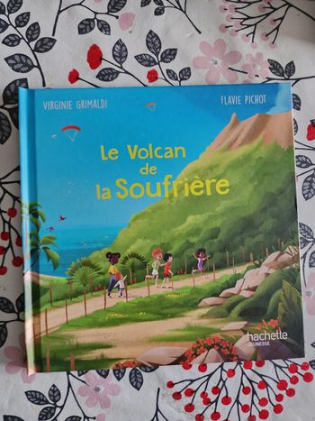 livre le volcan et la soufriere