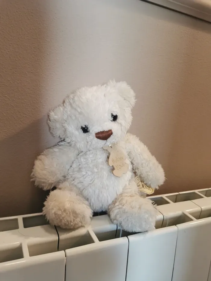 Peluche ourson histoire d'ours .