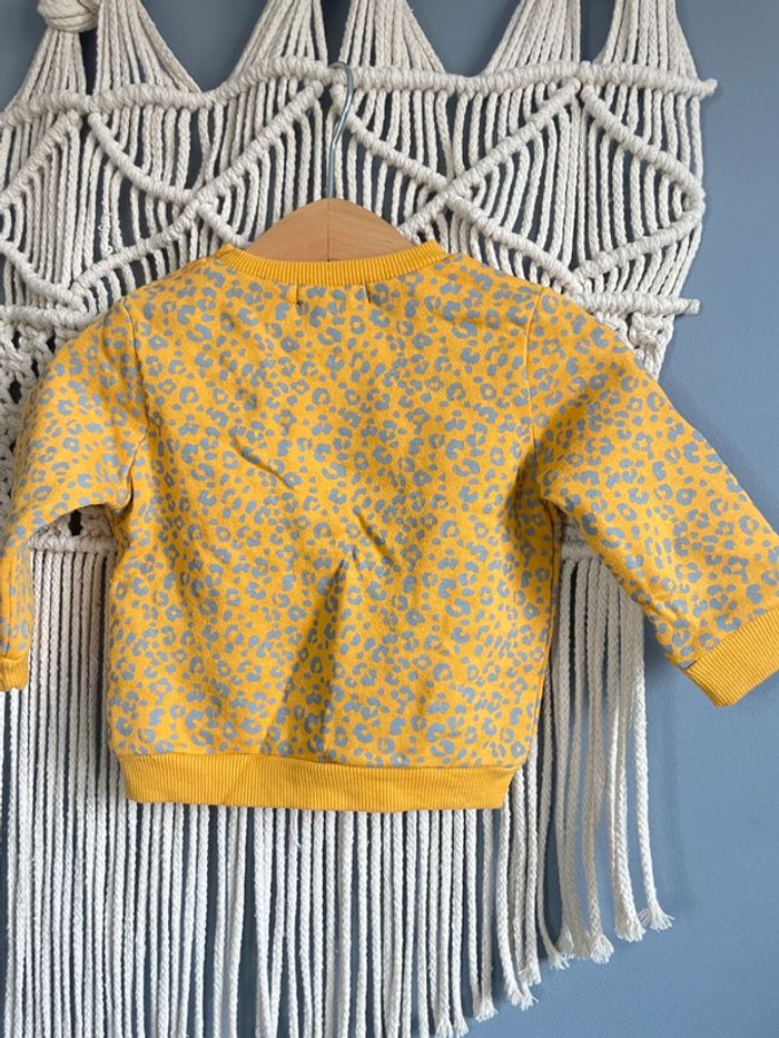 Sweat chaud - photo numéro 2