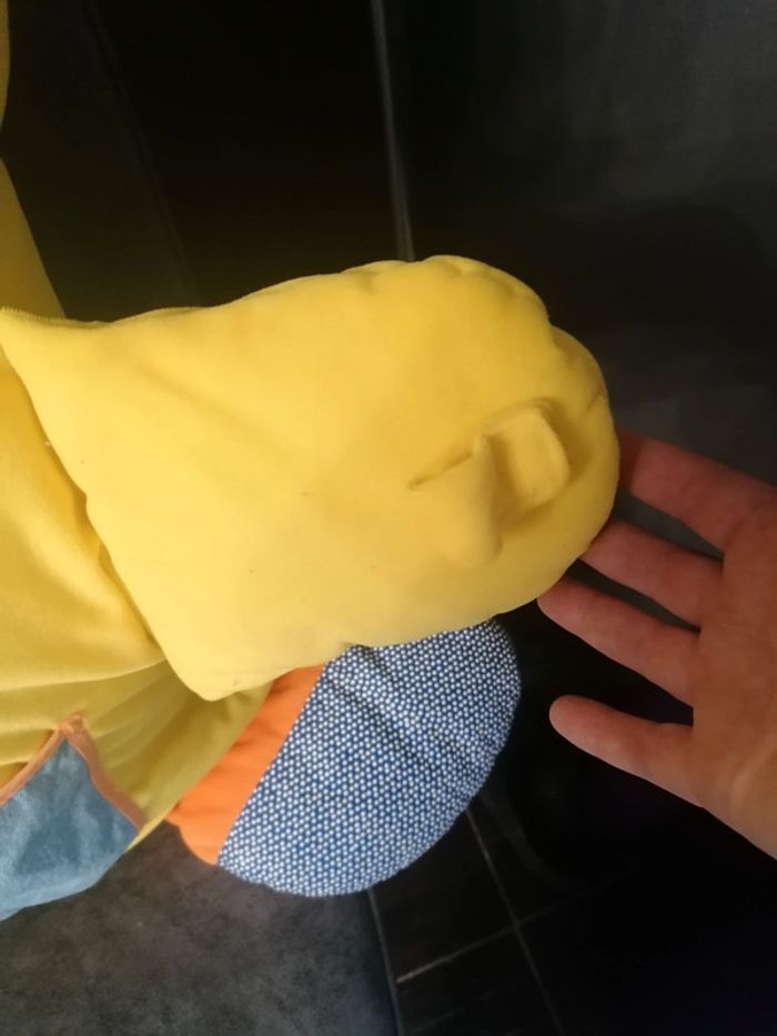 Gros canard - photo numéro 6