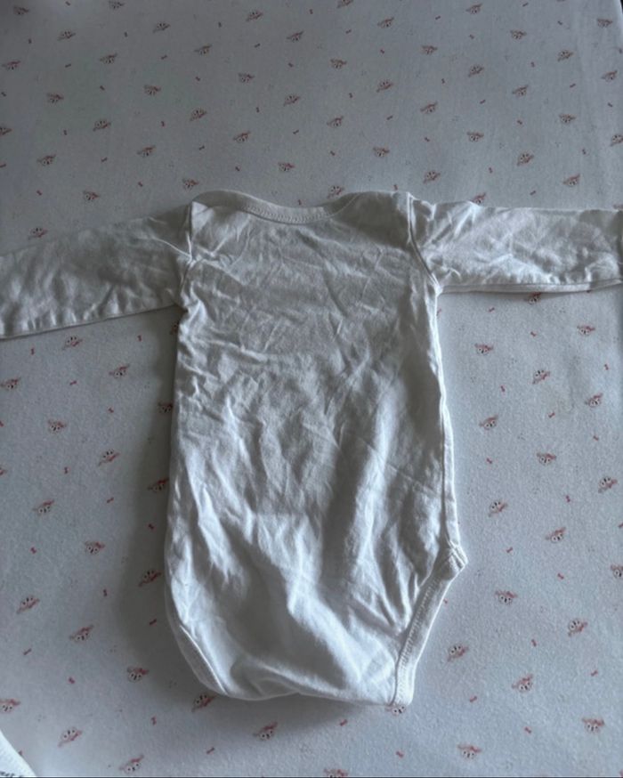 Lot bodies - photo numéro 3