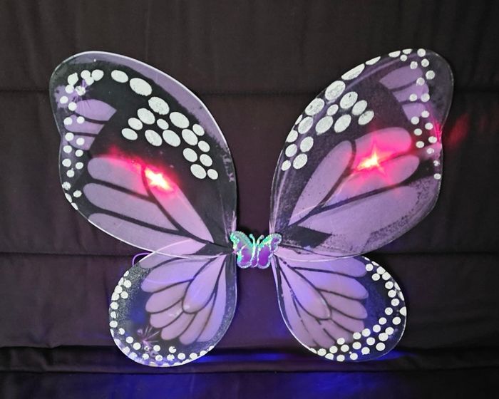 Déguisement papillon violet et accessoires 3-6ans - photo numéro 2