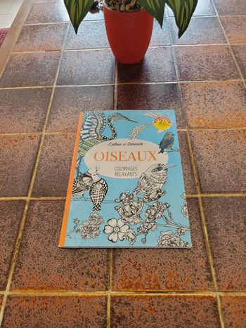 Livre coloriage oiseaux