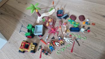 Gros lot playmobil