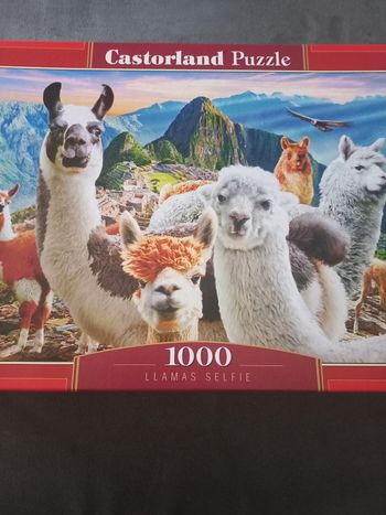Puzzle 1000 pièces castorland lamas