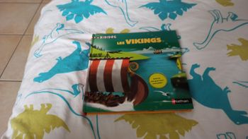 Livre Les vikings