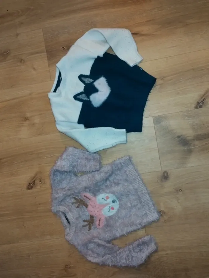 Deux pulls 3ans